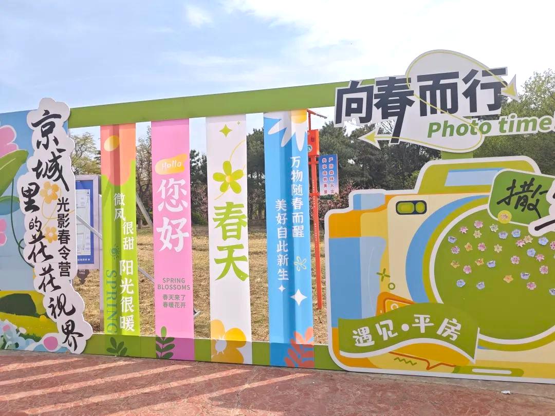 金蓝盾党支部组织参加“京城里的花花视界”-光影春令营活动